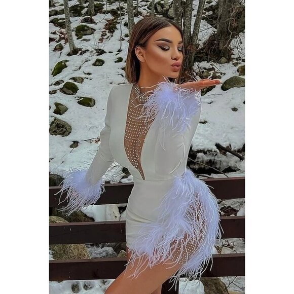 Fashion Nova Dresses & Skirts - Fashion Nova Trust Fund Please Women's Dress V-Neck Rhinestones Feather Trim XS